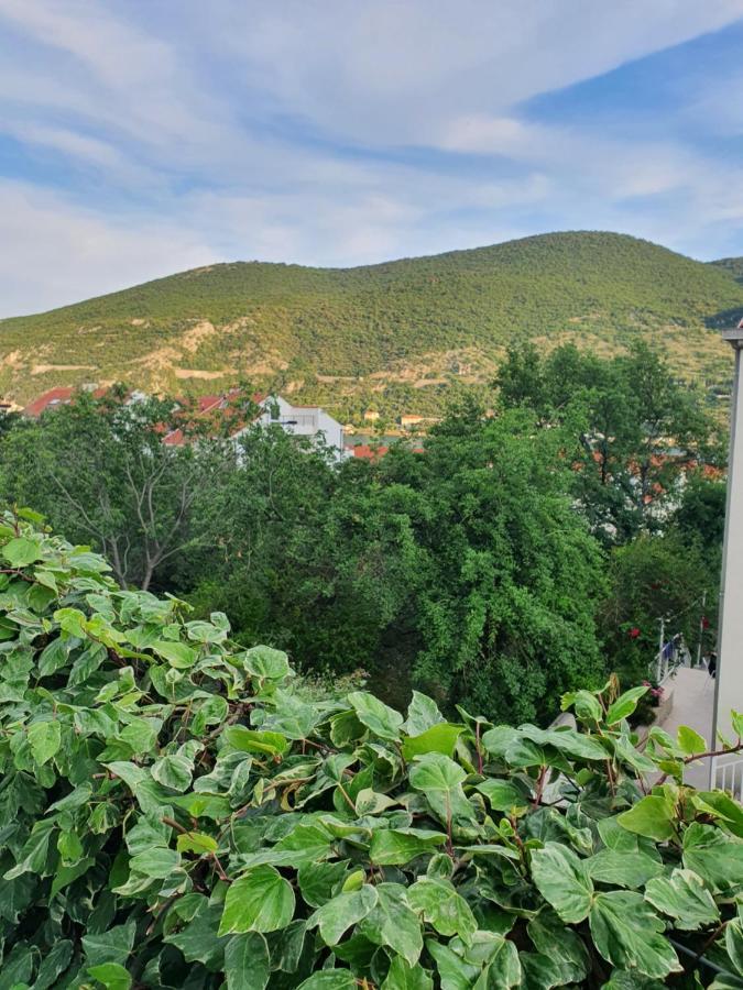 Apartment Rita Mokošica Extérieur photo